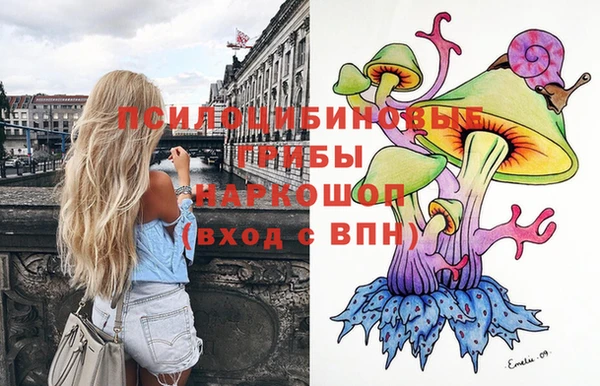 альфа пвп Куйбышев