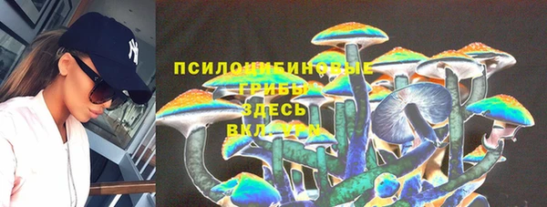 альфа пвп Куйбышев