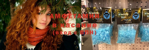 шишки Пыталово