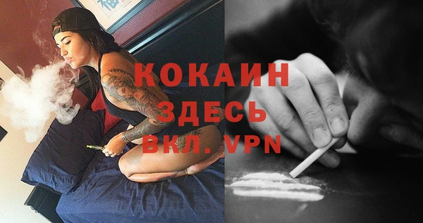 мяу мяу мука Кукмор