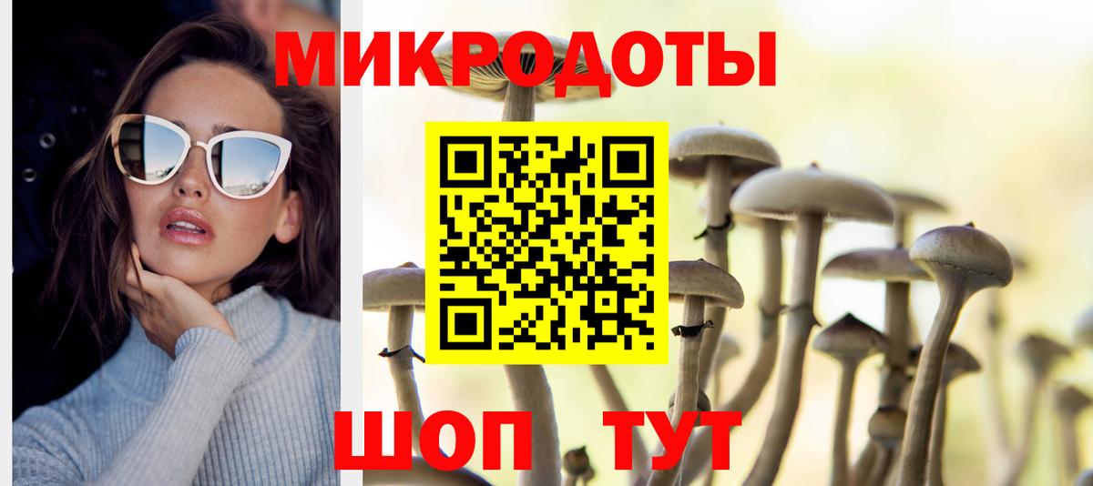 Псилоцибиновые грибы мицелий  закладки  Строитель  Вход с VPN 