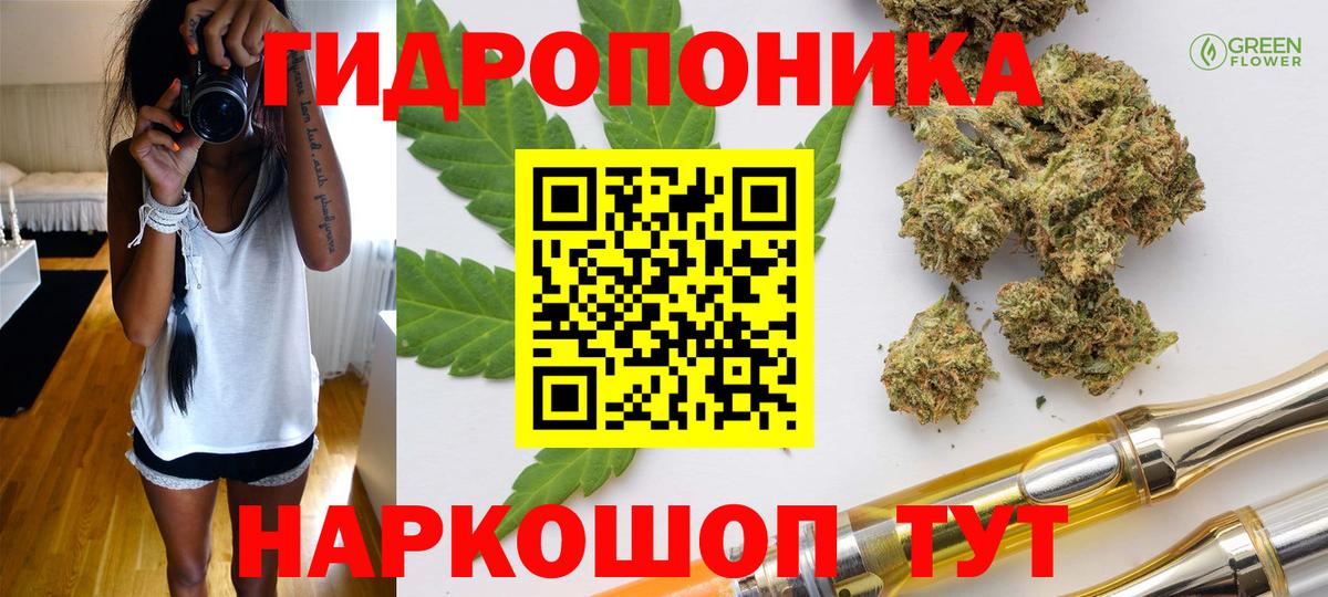 Канабис тримм  Марихуана индика  Вход с VPN  Строитель 